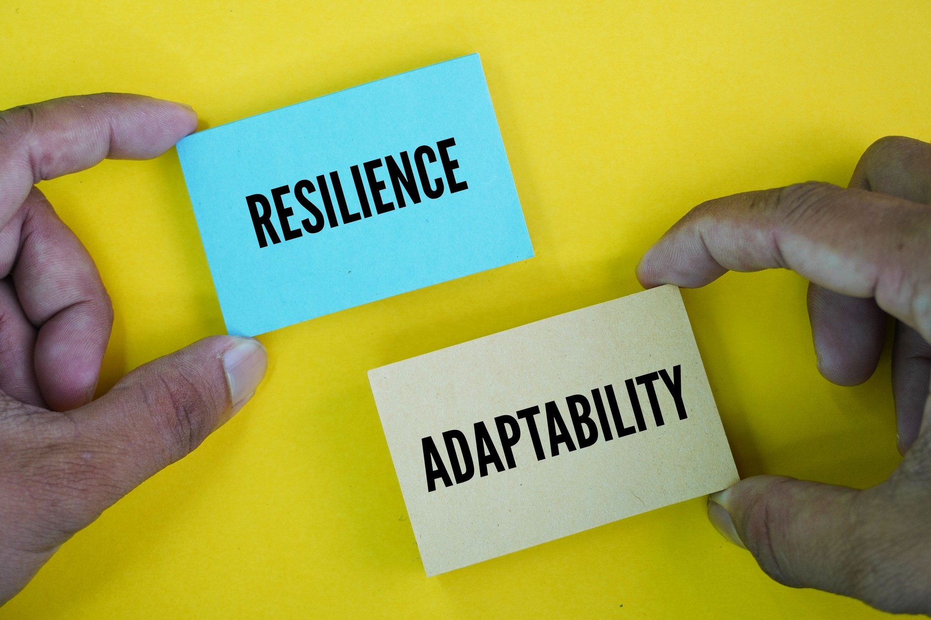 Two words Resilience and adaptability. Resilience refers to the ability to bounce back from adversity, while adaptability is the capacity to adjust to new situations or changes
